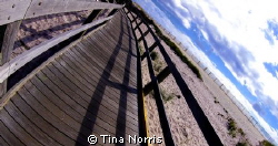 Fire Island by Tina Norris 